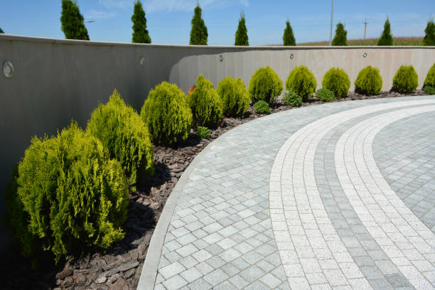 Best Local Driveway Pavers  in Lancaster, WI